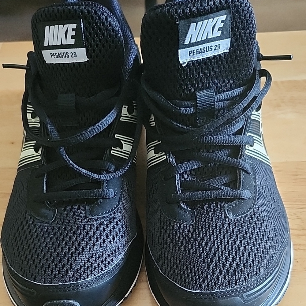 Nike Pegasus 29 Black Sneakers